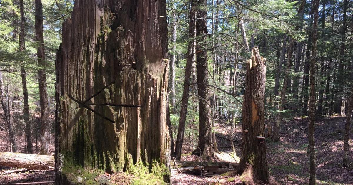 City hosting Outdoor Recreation Fair June 8 - Vimarsana News