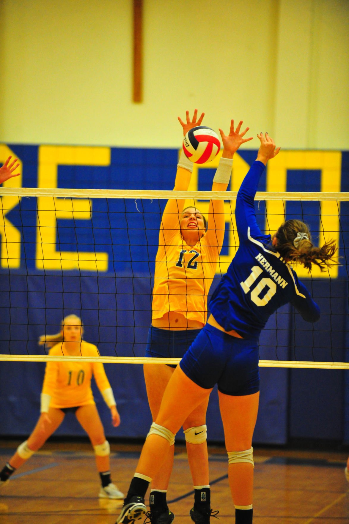 019HerBorVB17.jpg