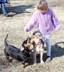 Puppy Play