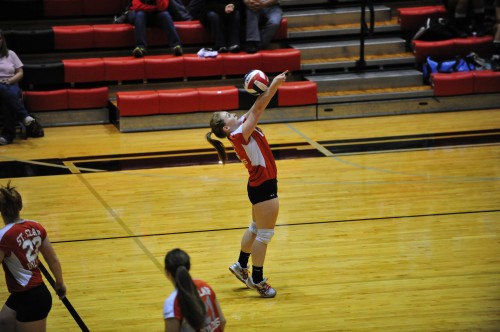 023SCSulDVB12.jpg