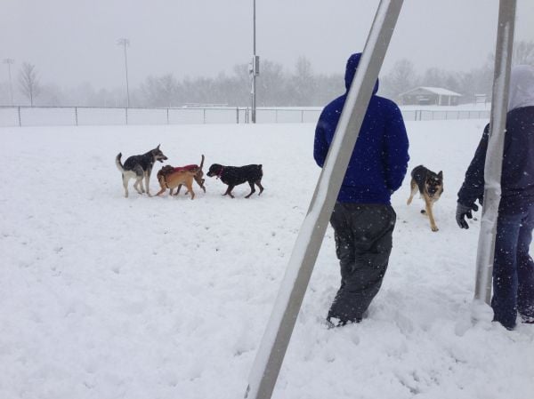 Snow Play