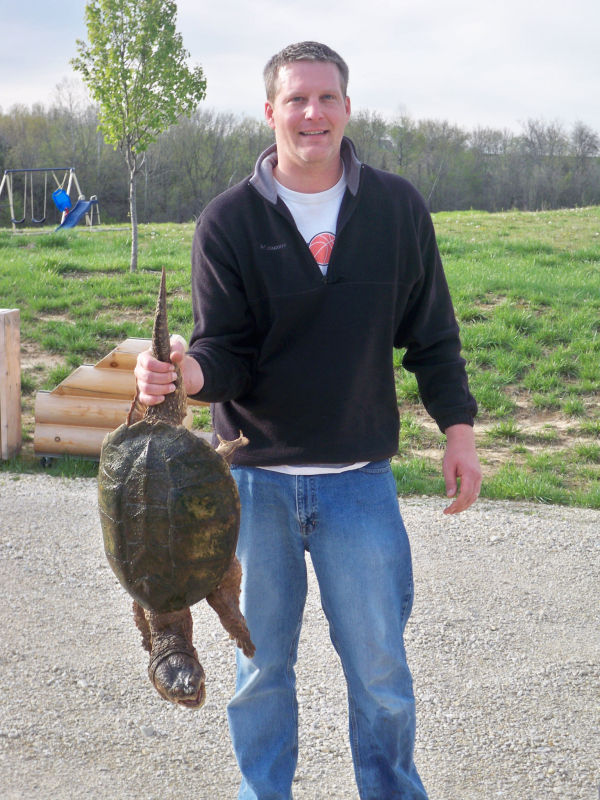 Briggs Turtle 4.JPG