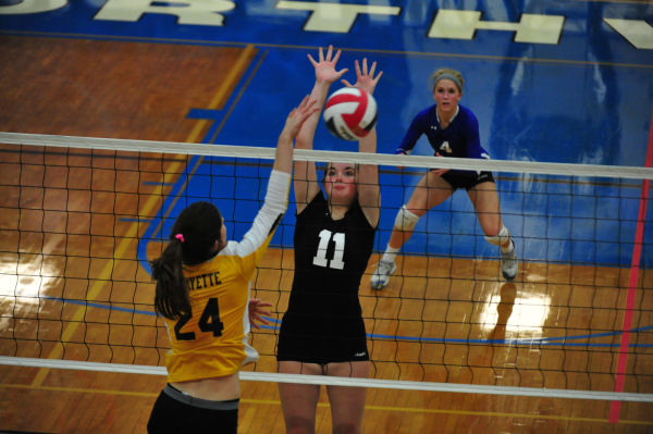 046whslafvb13.jpg