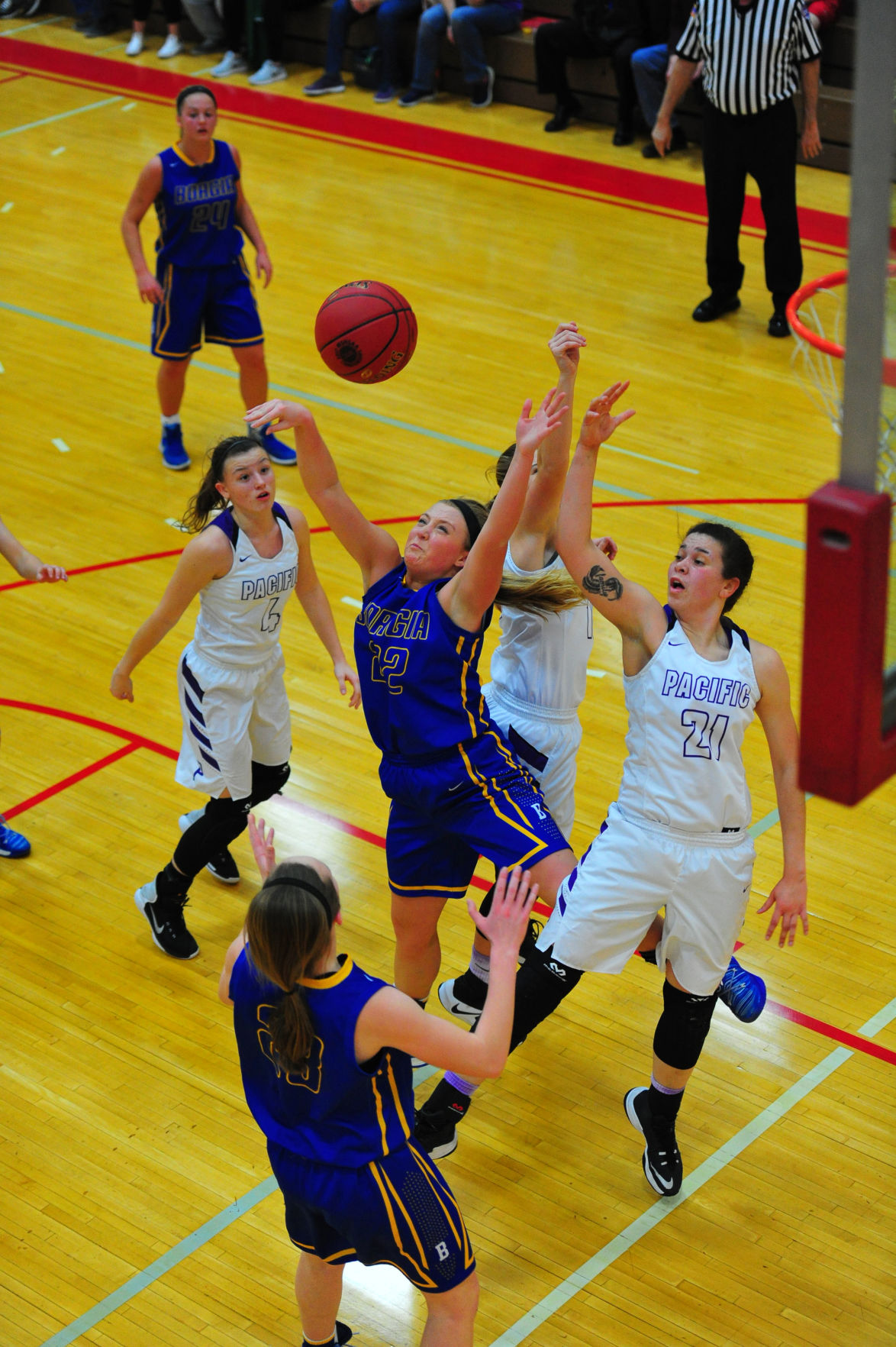 016PacBorDistGBB17.jpg