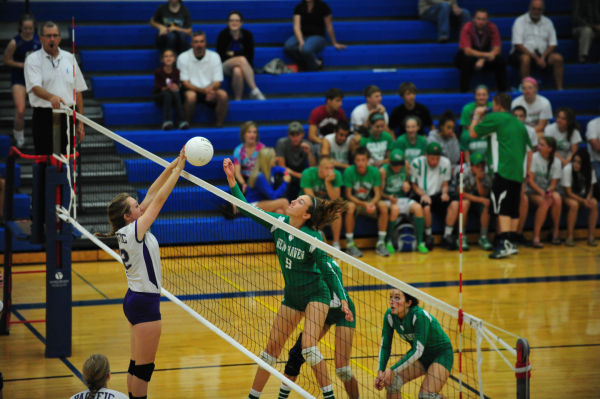 006HerTnyThuVB13.jpg
