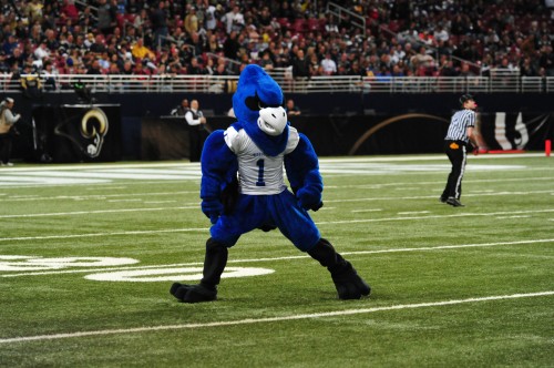 017BluJayRam12.jpg