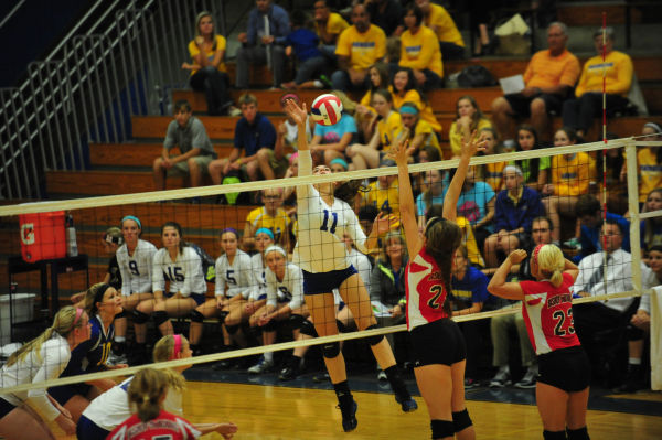 003BorDuBVB13.jpg