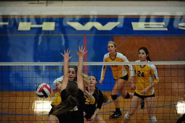 025whslafvb13.jpg