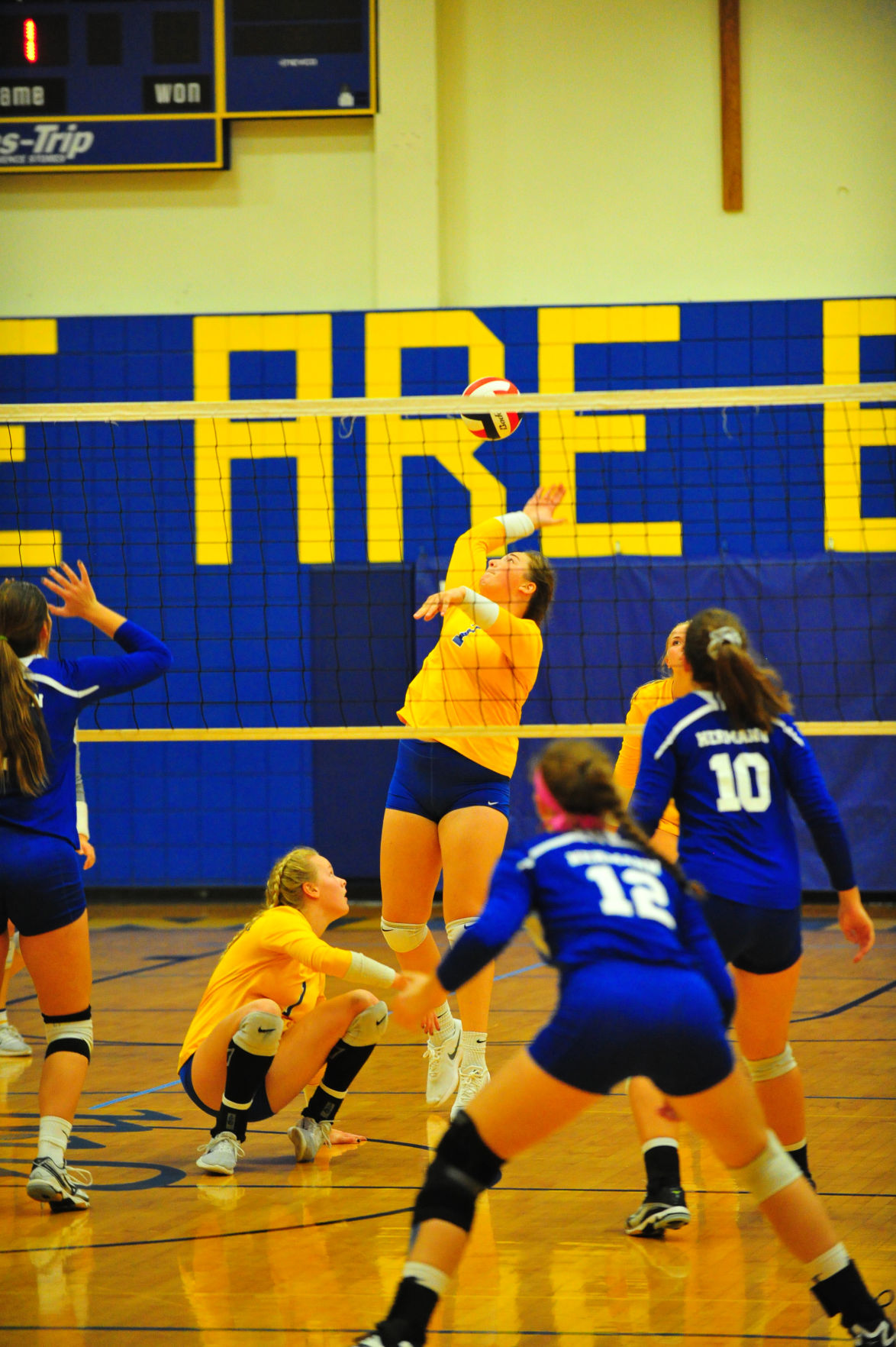 005HerBorVB17.jpg