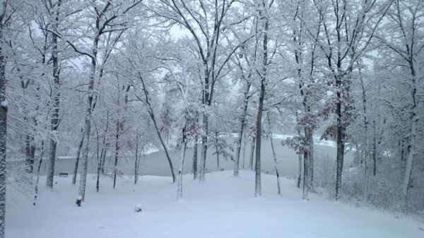 Frozen Lake