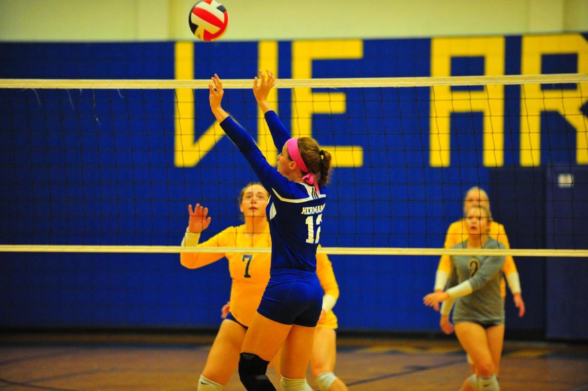 012HerBorVB17.jpg
