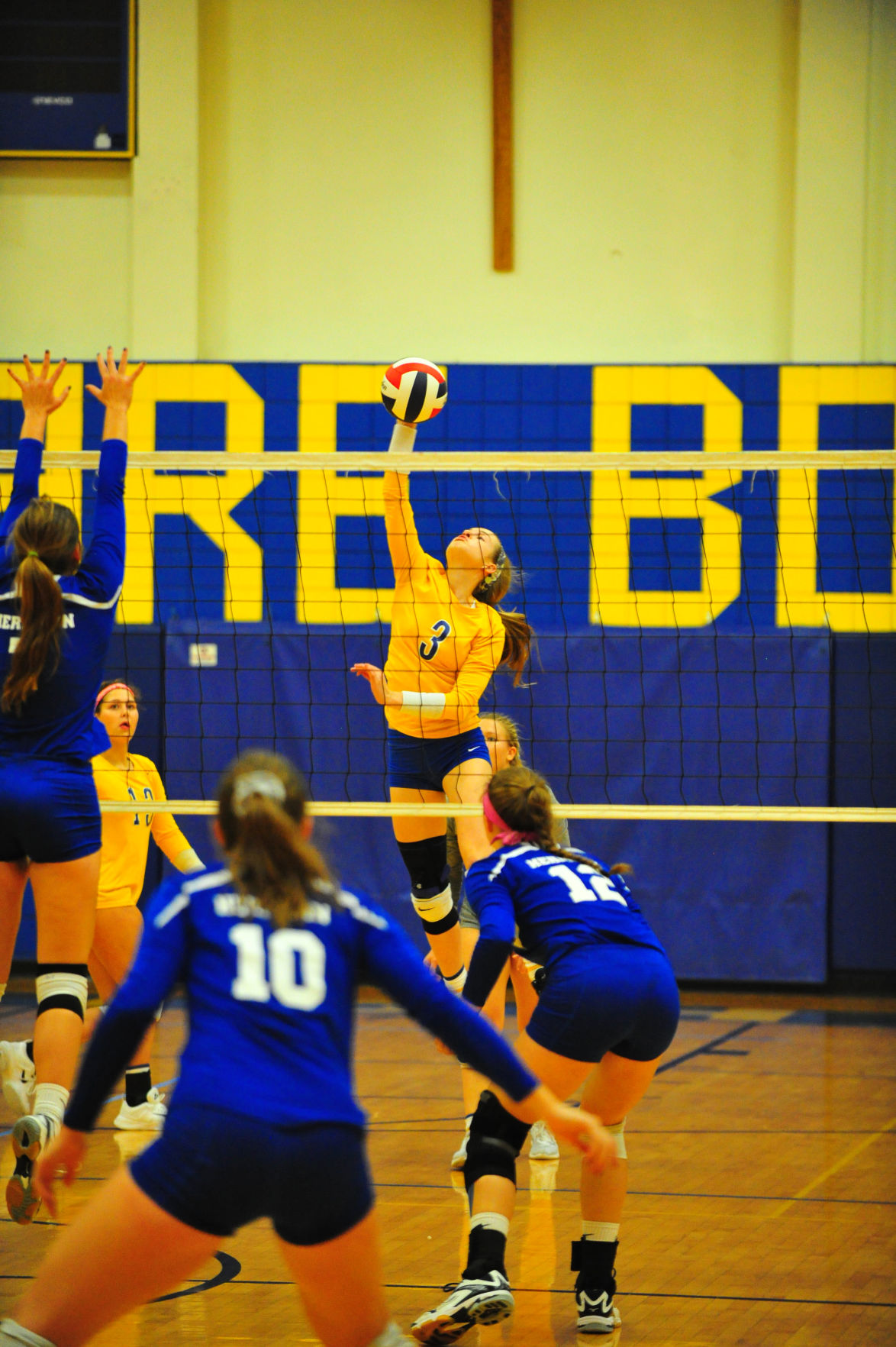 010HerBorVB17.jpg
