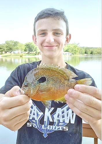 Franklin County lake yields another state record longear sunfish, Local  News