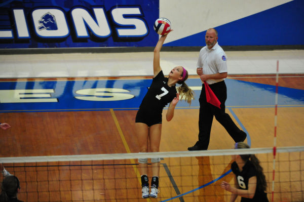 041whslafvb13.jpg