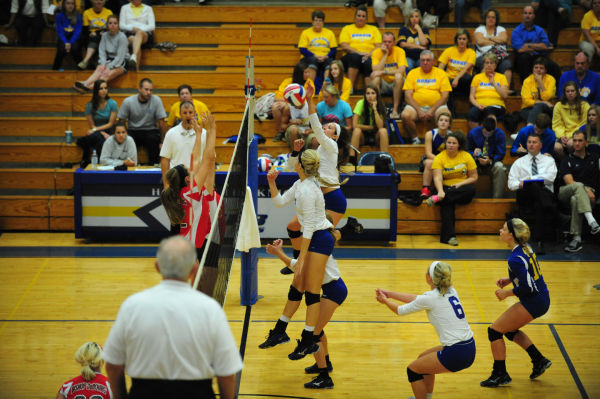 031BorDuBVB13.jpg