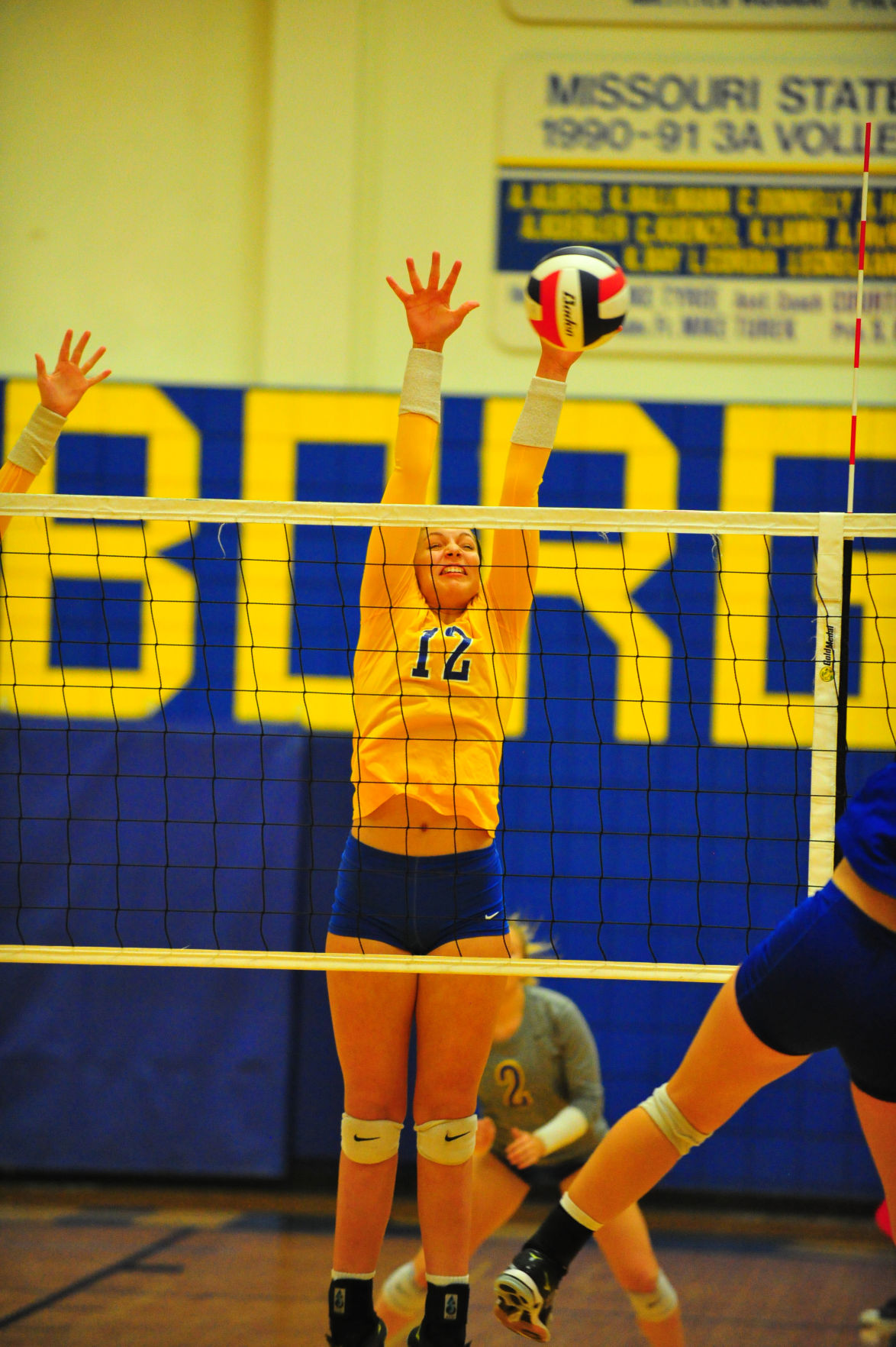 020HerBorVB17.jpg