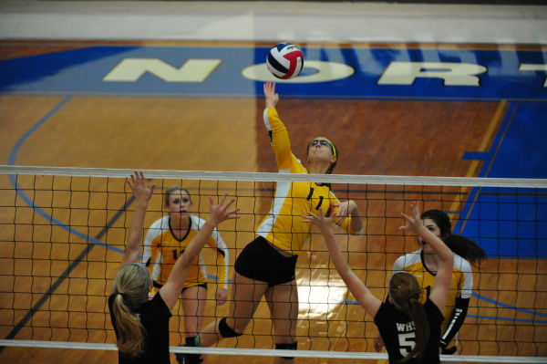 038whslafvb13.jpg