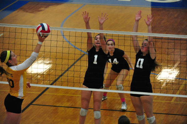 051whslafvb13.jpg