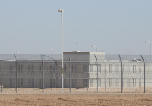 arizona inmate offender sex arizona inmate offender sex