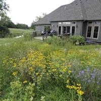 Virtual native landscaping webinar series offered | News Virtual native landscaping webinar series offered | News