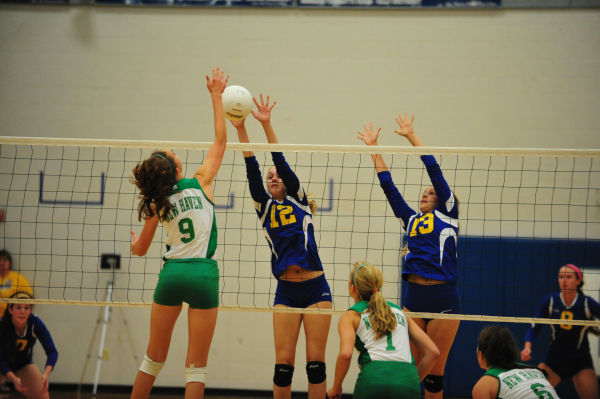 024HerTnyThuVB13.jpg