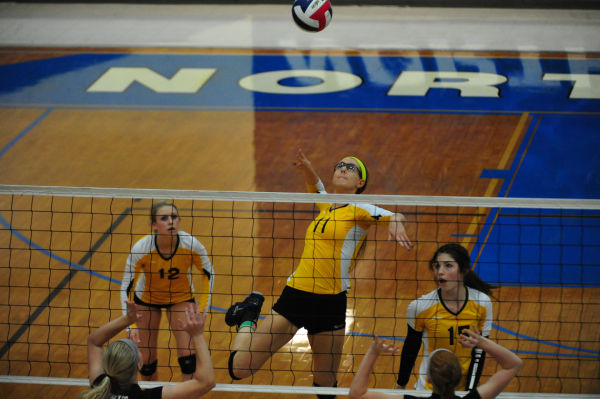 039whslafvb13.jpg