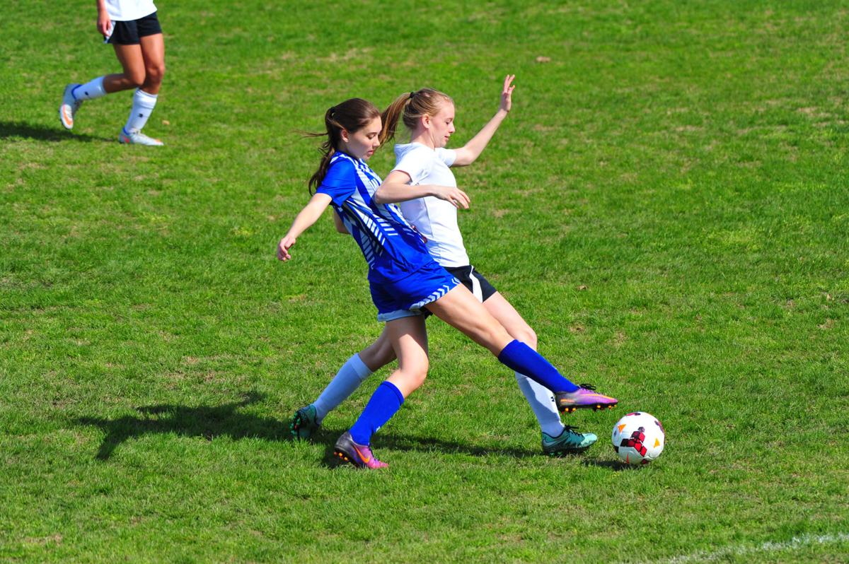 015WasTroyGSoc17.jpg