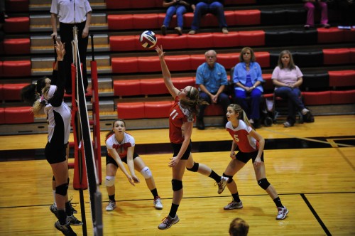 006SCSulDVB12.jpg