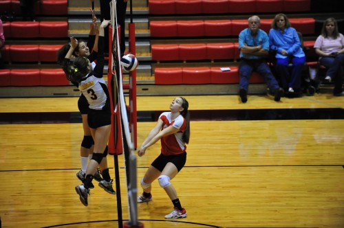 009SCSulDVB12.jpg