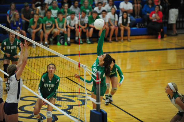 047HerTnyThuVB13.jpg