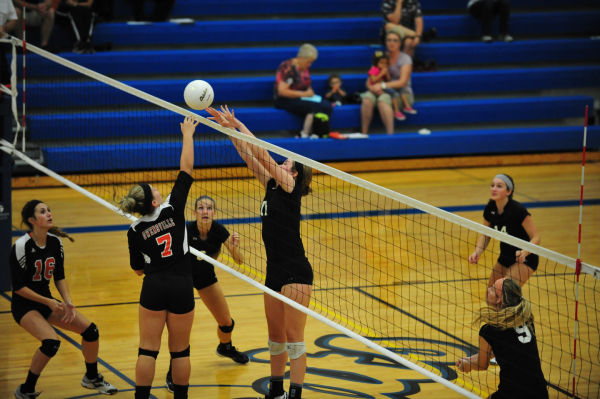 064HerTnyThuVB13.jpg