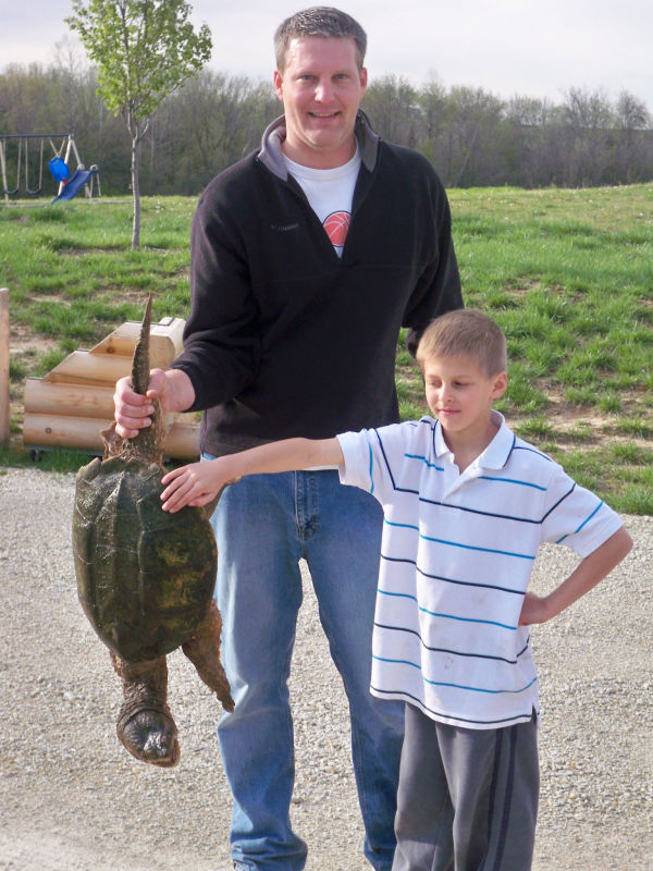 Briggs Turtle 5.JPG