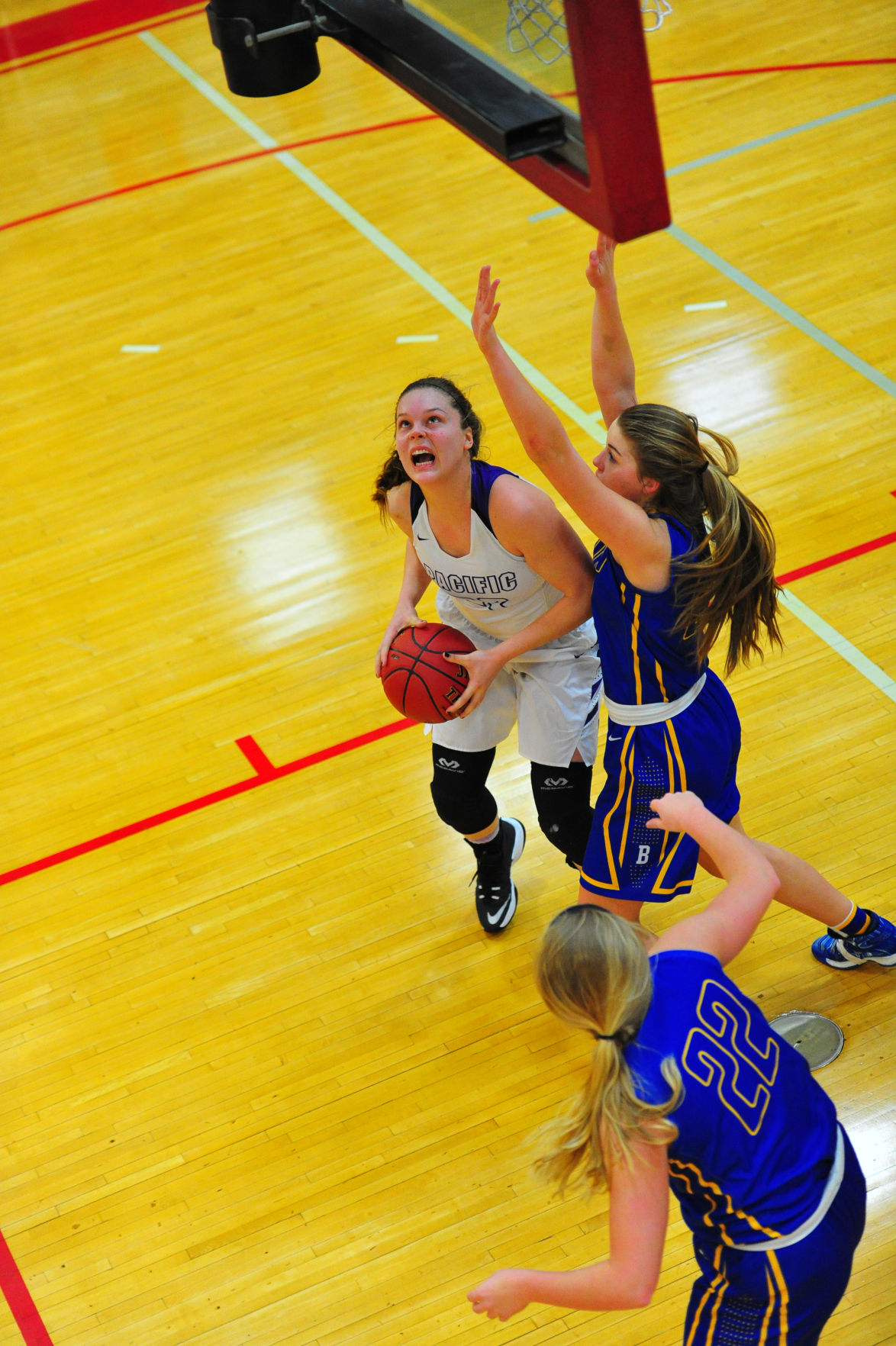 030PacBorDistGBB17.jpg