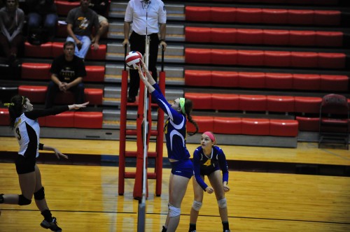 004borsulvb12.jpg