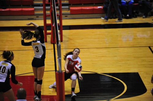 014SCSulDVB12.jpg