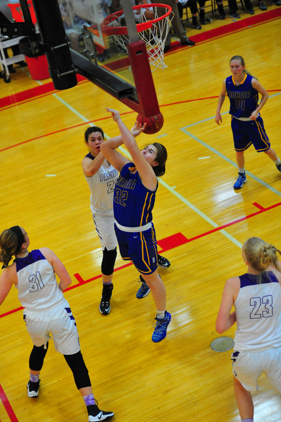 022PacBorDistGBB17.jpg