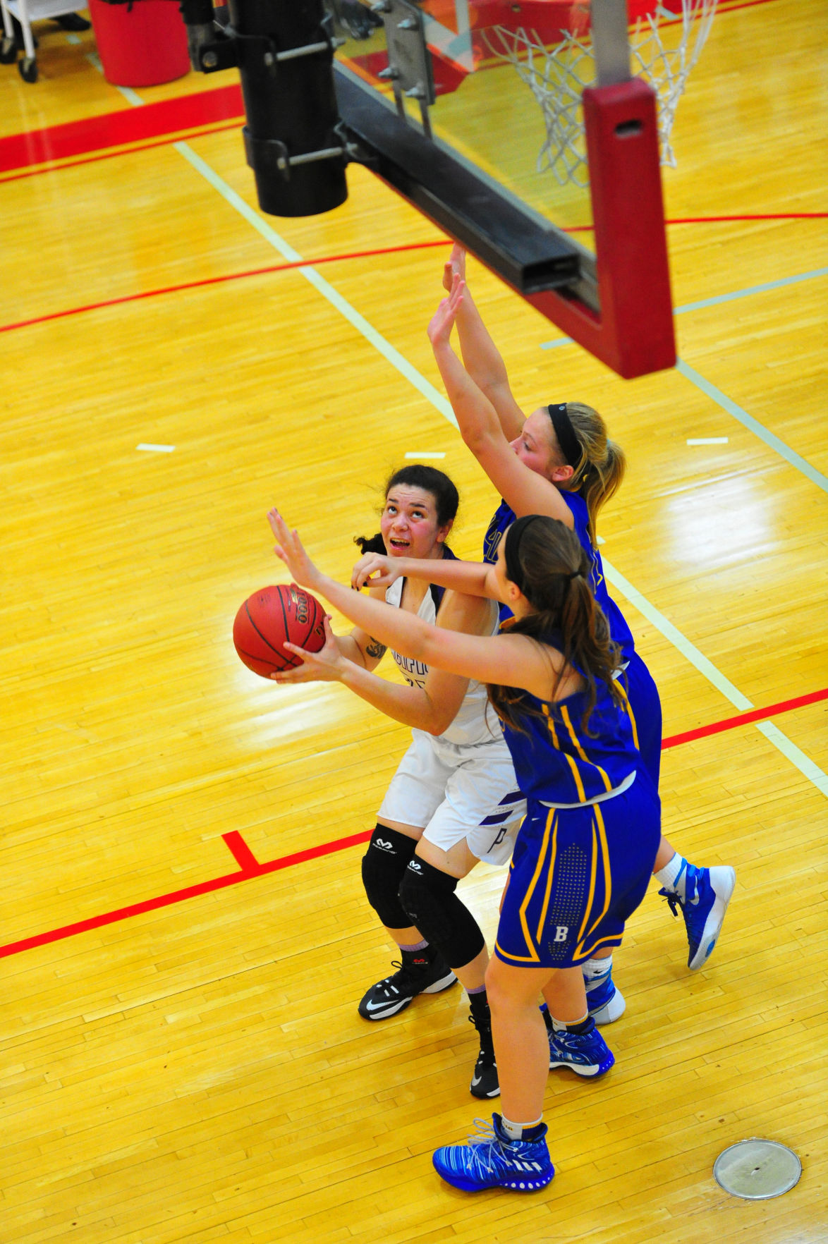 013PacBorDistGBB17.jpg