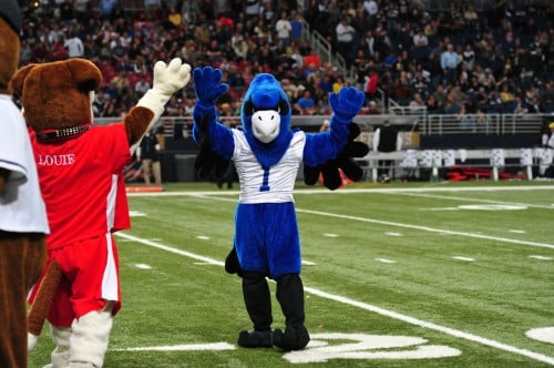 003BluJayRam12.jpg