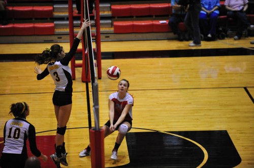 013SCSulDVB12.jpg