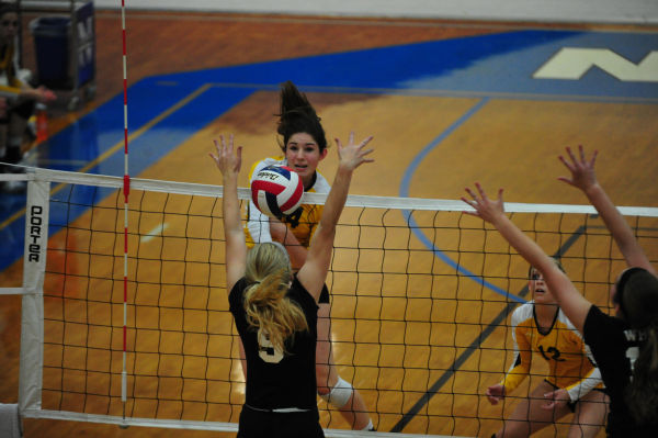 031whslafvb13.jpg