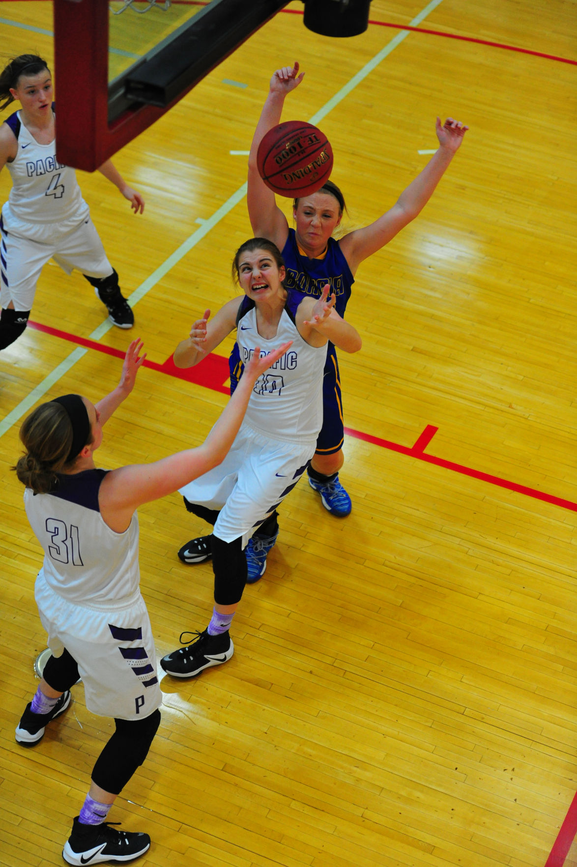 003PacBorDistGBB17.jpg