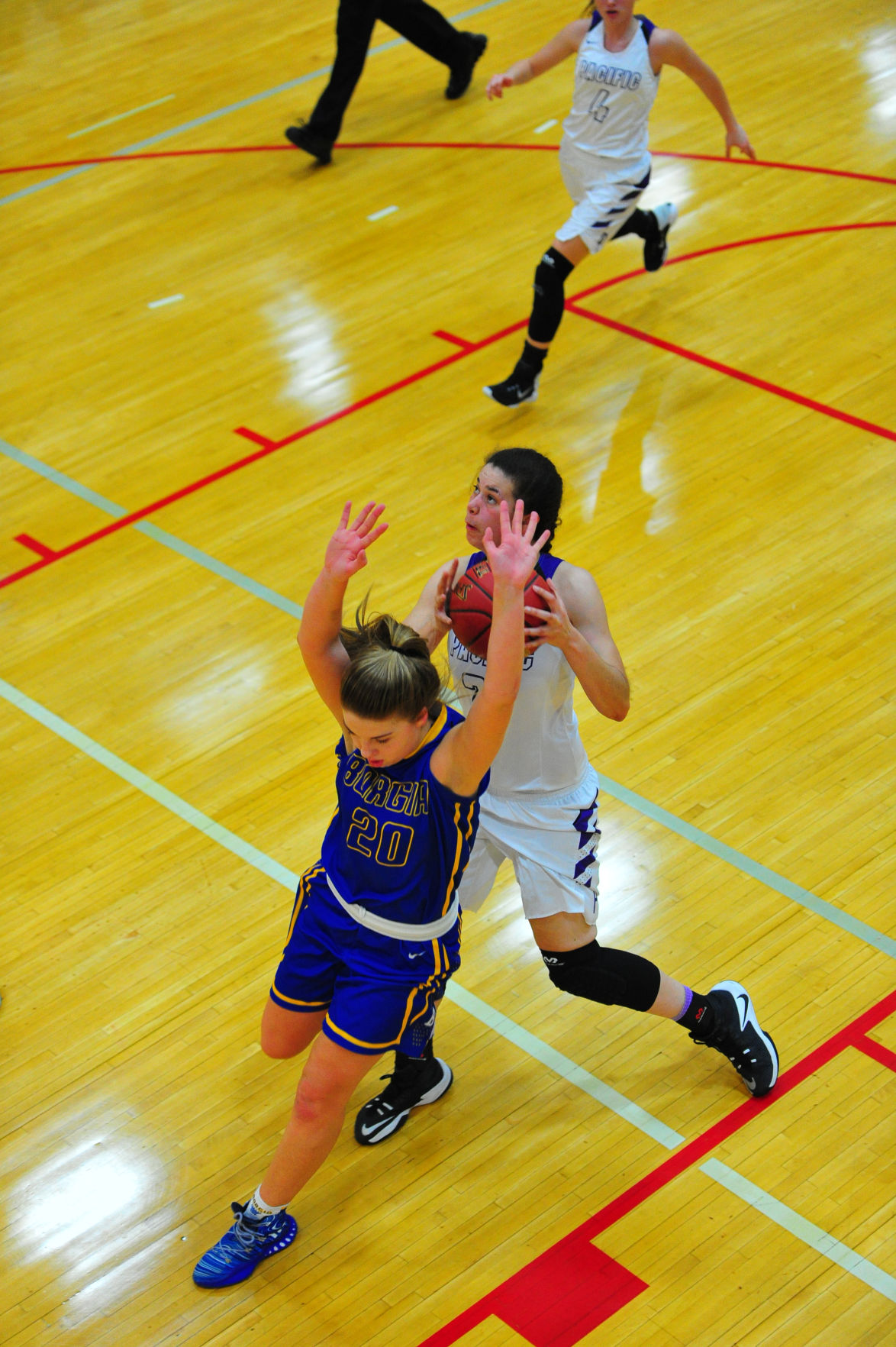 010PacBorDistGBB17.jpg