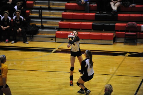 030SCSulDVB12.jpg