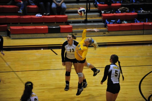 008SCSulDVB12.jpg