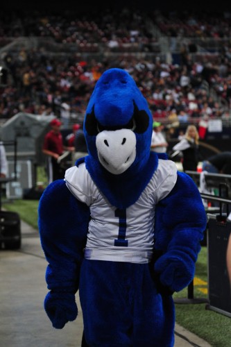 004BluJayRam12.jpg