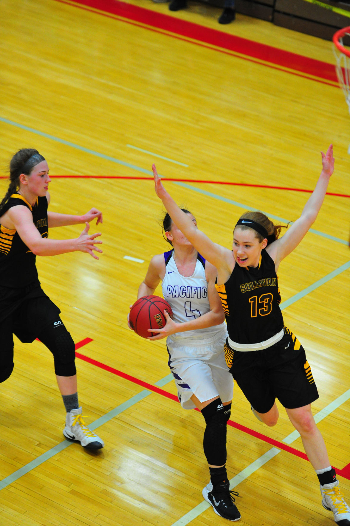 042SulPacDistGBB17.jpg