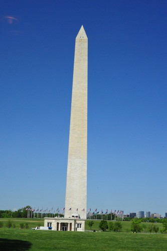 010HonFltD12.jpg