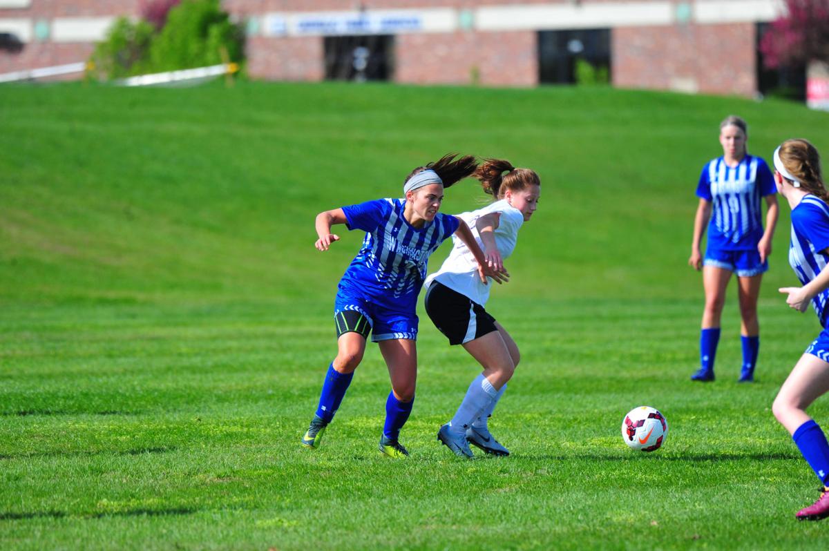 046WasTroyGSoc17.jpg