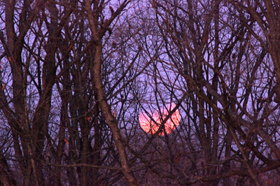 Partial Lunar Eclipse