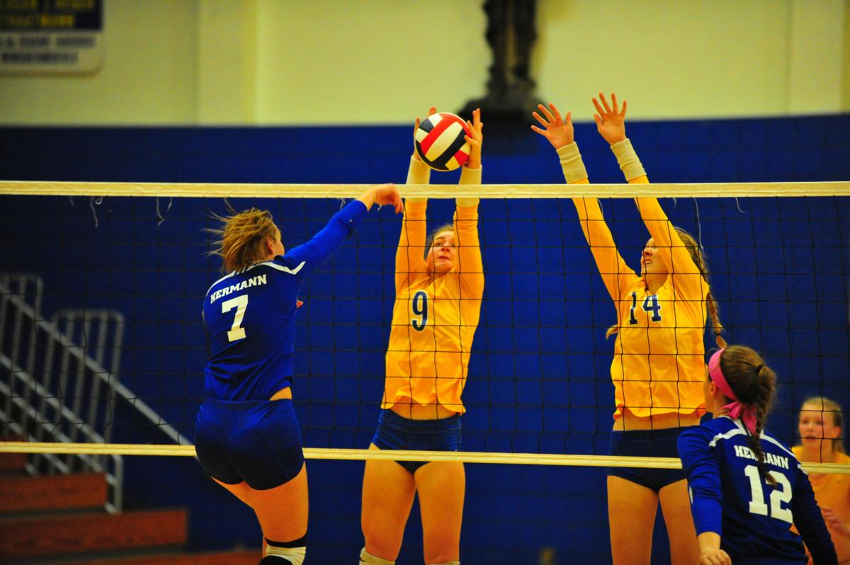 003HerBorVB17.jpg